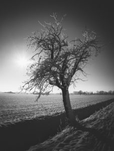 Winter scenery Winter scenery